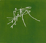 Insekt, 1999, Holzschnitt, 23x24,5cm